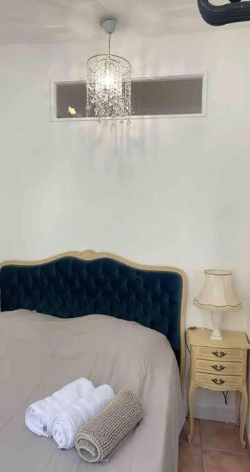 Magnifique Appartement Plein Coeur Avignon Intra-Muros Esterno foto